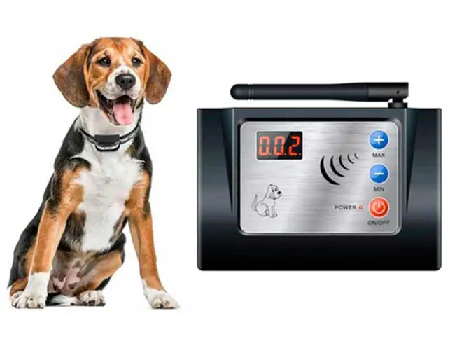 Best Wireless Fence For Your Beagle Beagle Owner