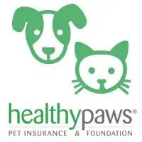 healthy paws